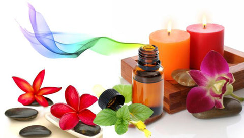 Fragrance Burning Oils